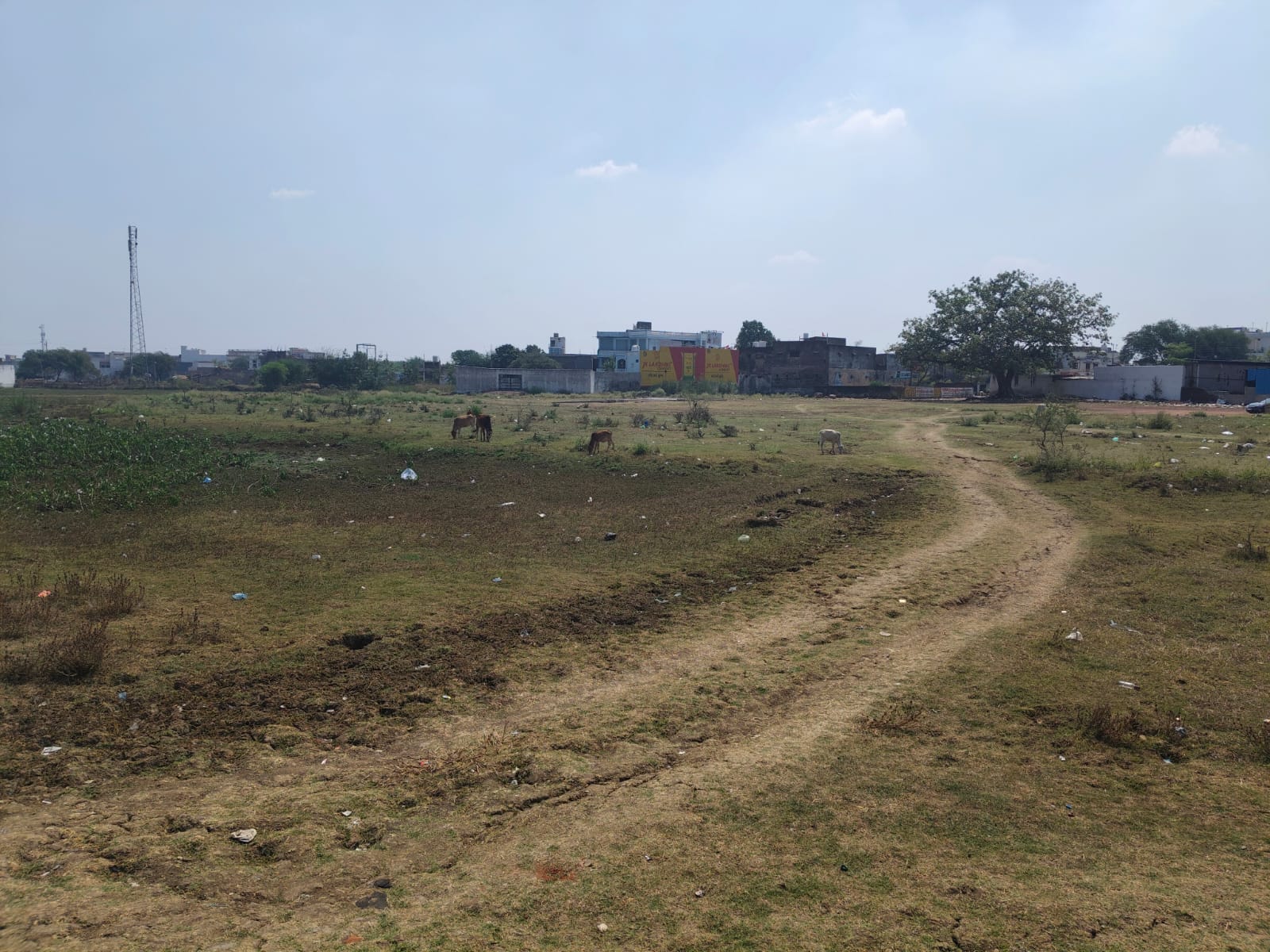 तालाब पाटकर जमीन बनाने के खेल में मौन सहमति के पीछे छुपे हैं कौन से राज ?