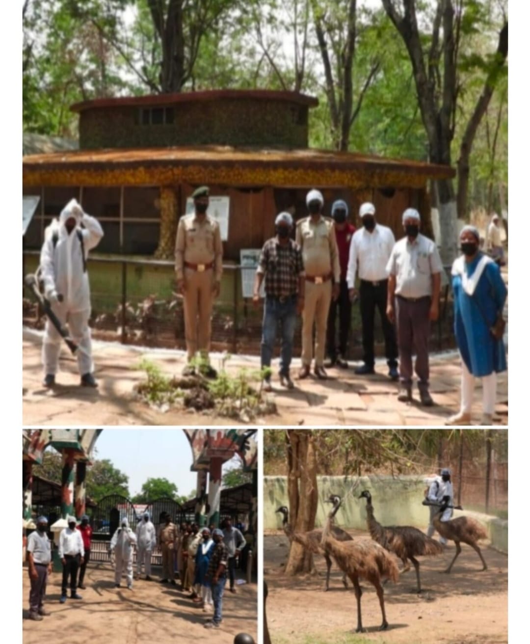 बर्ड फ्लू के असर से कानन पेंडारी मिनी जू के गेट पर लगा एक सप्ताह के लिए ताला