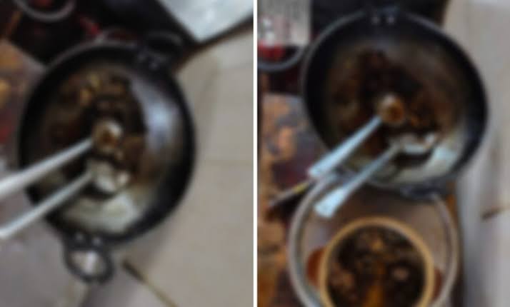 कुरदर वैली रिसॉर्ट में वन्यजीव कानून का उल्लंघन: हिरण का मांस पकाते मैनेजर सहित 4 गिरफ्तार, सप्लायर फरार