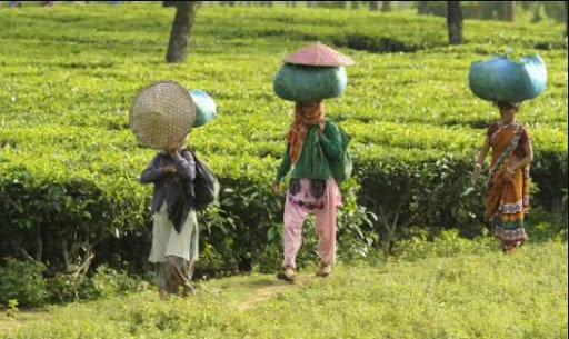 गांव की नई उड़ान : आत्मनिर्भर भारत का मजबूत आधार