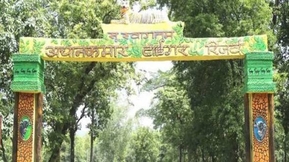 15 जून से बंद होंगी टाइगर रिजर्व की सफारी, मौसम को देखते हुए एनटीसीए के निर्देश