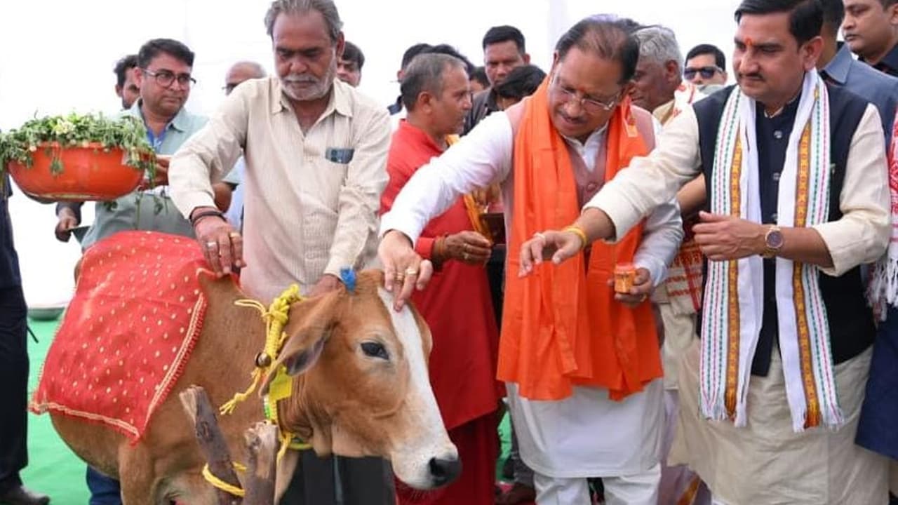 हाई कोर्ट के संज्ञान के बाद हरकत में आया विभाग, लाखासर गौधाम में व्यवस्थाएं सुधारने का दावा, निरीक्षण के बाद गोवंश को नए शेड में किया जा रहा शिफ्ट, चारा-पानी और स्वास्थ्य सुविधाओं की समीक्षा