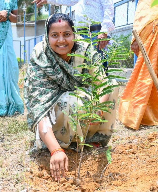 विश्व पर्यावरण दिवस पर मंत्री लक्ष्मी राजवाड़े ने किया पौधरोपण, “एक पेड़, अनेक पीढ़ियों का भविष्य” – हरित छत्तीसगढ़ के निर्माण का दिया संदेश