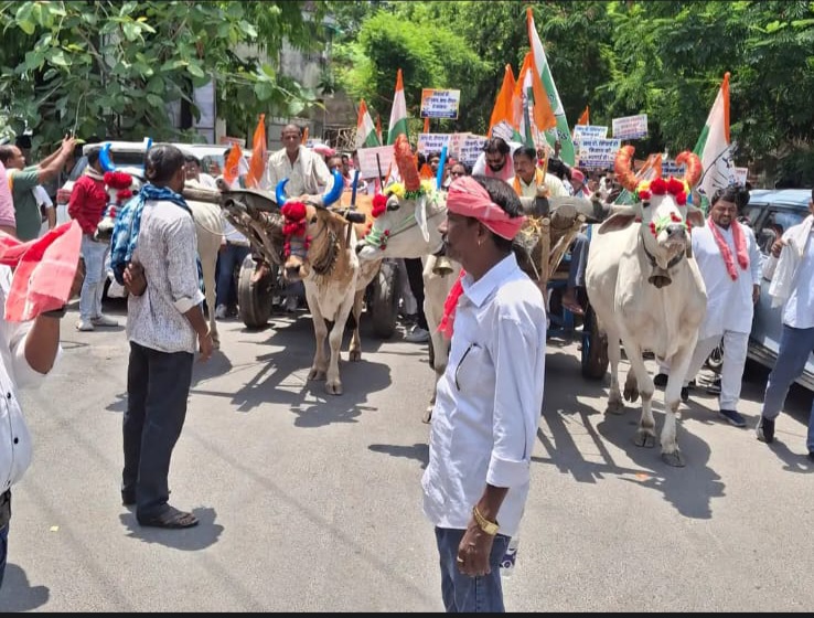 खाद-बीज संकट पर कांग्रेस का शक्ति प्रदर्शन, बैलगाड़ियों के साथ कलेक्टोरेट घेरने पहुंचे किसान और कार्यकर्ता