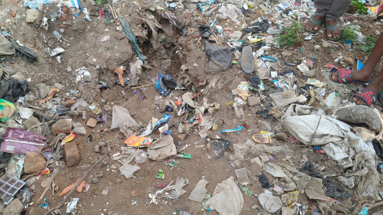 रतनपुर में मगरमच्छ के 6 नवजात शावकों का सफल रेस्क्यू, वन विभाग ने खुटाघाट बांध में छोड़ा