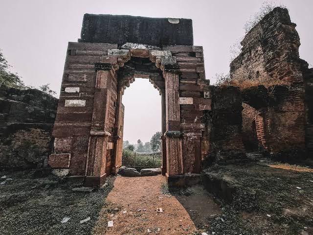 गज किले की दीवार से टकराया ट्रैक्टर, ऐतिहासिक धरोहर को नुकसान, चालक गंभीर घायल; निर्माण गुणवत्ता पर उठे सवाल