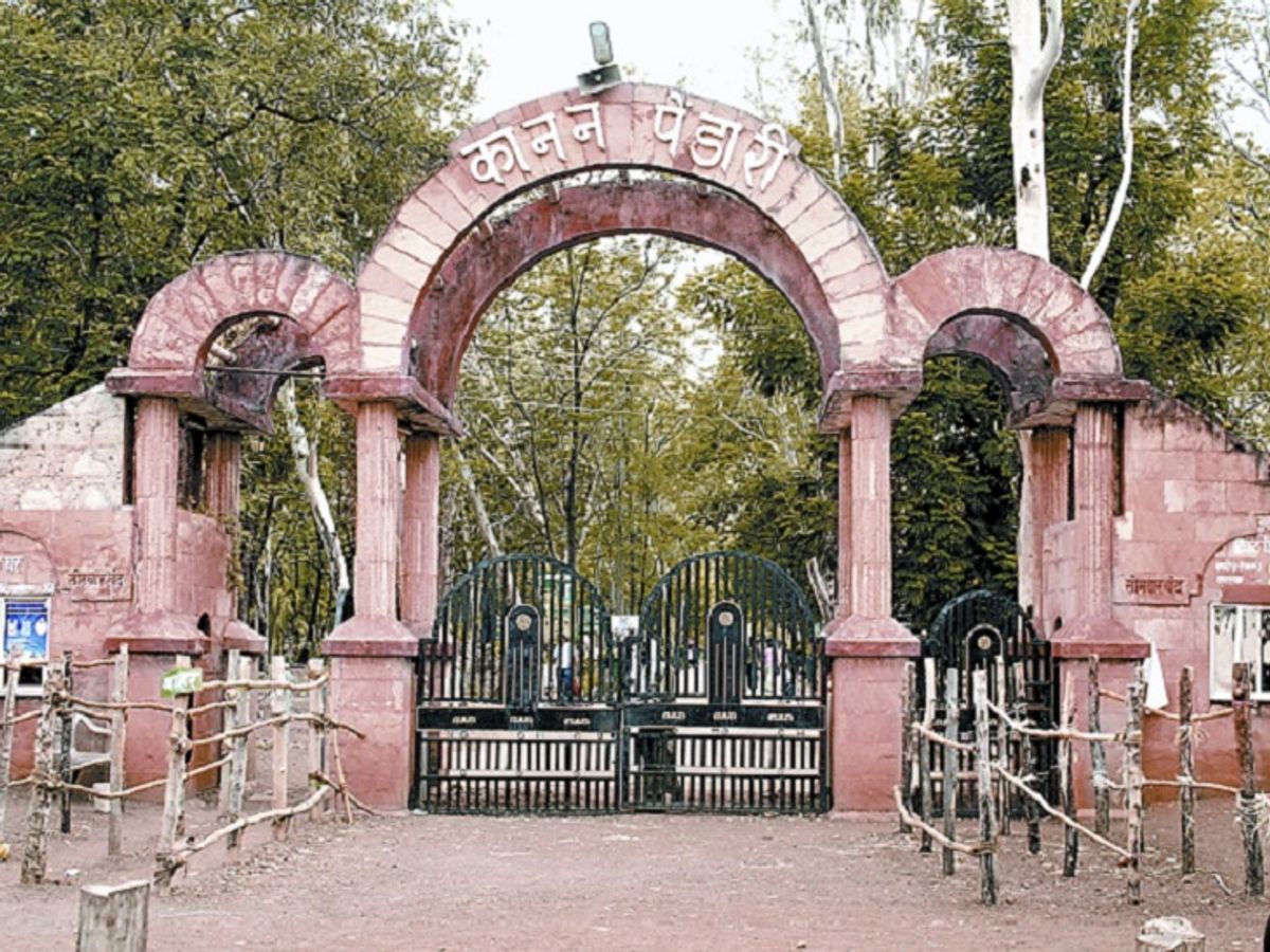 kanan-pendari-zoo_1578981774.jpg